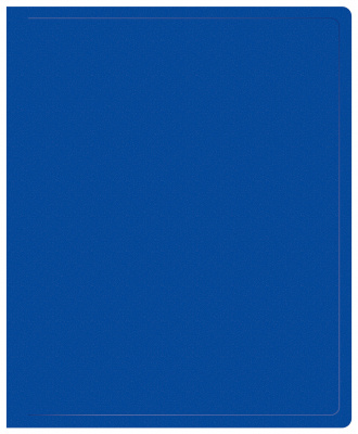 Папка на 2-х кольцах Buro -ECB413/2RBLUE A4 пластик 0.5мм синий