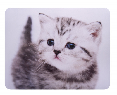 Коврики для мыши