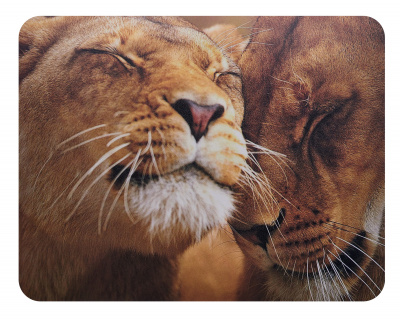 Коврики для мыши